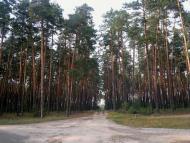 Щорс з panoramio.com