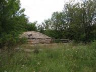 Дзензелівка з panoramio.com