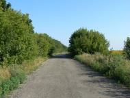 Любимівка - Останні фото