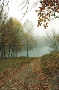Сильченкове з panoramio.com