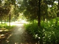 Малоярославець Перший з panoramio.com