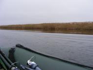 Велетенске з panoramio.com