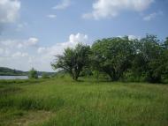 Іванівка з panoramio.com