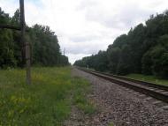 Августівка з panoramio.com