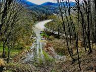 Лісне з panoramio.com