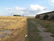 Антонівське з panoramio.com