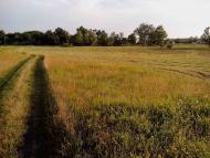 Юрки з panoramio.com