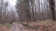 Суха Гомільша з panoramio.com