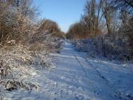 Мирлоги з panoramio.com