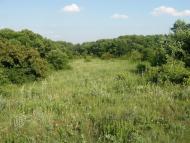 Маломиколаївка з panoramio.com