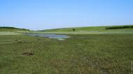 Новокубанка з panoramio.com