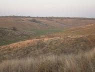 Северинівка з panoramio.com