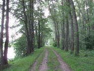 Думенки з panoramio.com