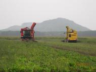 Білий Камінь з panoramio.com