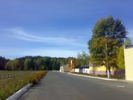 Сиделівка з panoramio.com