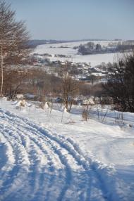 Глібовичі з panoramio.com