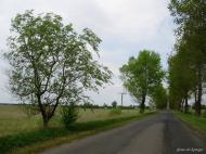 Суськ з panoramio.com
