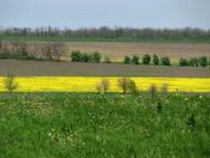 Красногорівка з panoramio.com