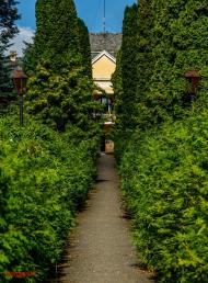 Неслухів з panoramio.com