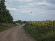 Панкратове з panoramio.com