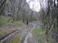 Лісне з panoramio.com