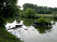 Думенки з panoramio.com