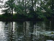 Матяшівка з panoramio.com