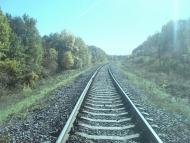 Щиборівка з panoramio.com