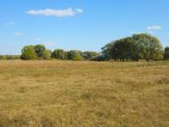 Острів з panoramio.com