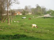 Юрівка з panoramio.com
