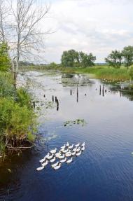 Староаврамівка з panoramio.com