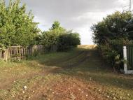 Антонівське з panoramio.com