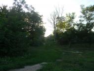 Білозір'я з panoramio.com