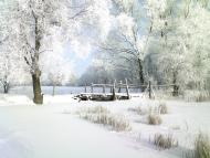 Бірки з panoramio.com