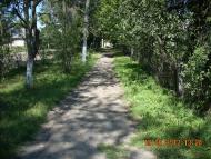 Негівці з panoramio.com