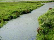 Сопачів з panoramio.com