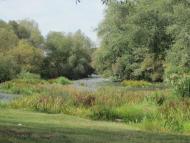 Мала Мечетня з panoramio.com