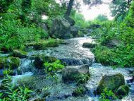 Щорсівка з panoramio.com