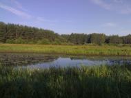 Порубка з panoramio.com