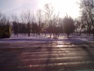 Саксагань з panoramio.com