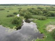 Заячівка з panoramio.com