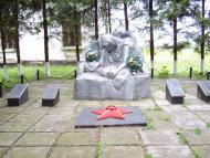 Чеснівка з panoramio.com