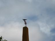 Гурівка з panoramio.com