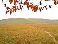 Куряни з panoramio.com