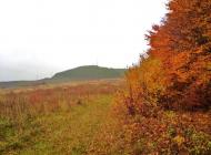 Куряни з panoramio.com