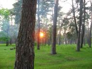 Козлин з panoramio.com