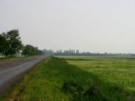 Чаплинка з panoramio.com
