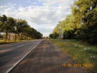 Поліське з panoramio.com