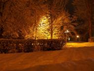 Першотравенськ з panoramio.com