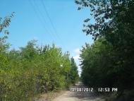 Панкратове з panoramio.com